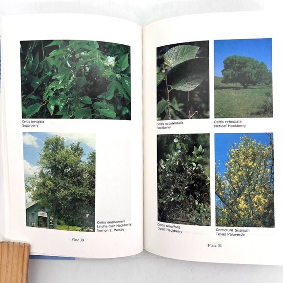 A Field Guide To Texas Trees By Benny J. Simpson Hardcover 1988 Signed by Author - Picture 8 of 16